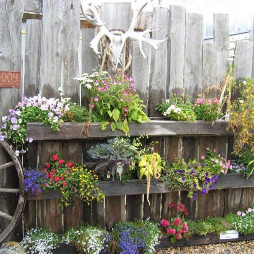 About Us Boychuk Greenhouses